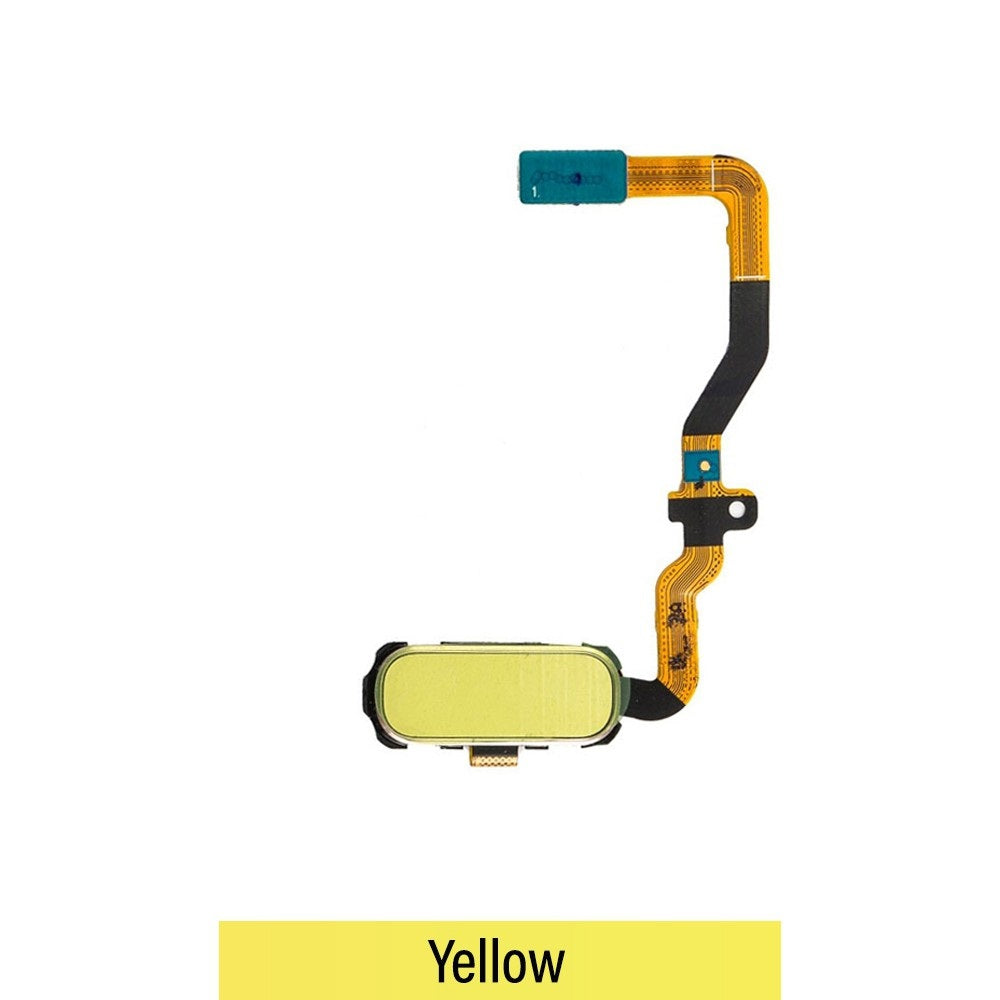 Home Button Flex Cable with Touch ID for Samsung Galaxy S7 G930F (Purple)-Gold Home Button Flex Cable with Touch ID for Samsung Galaxy S7 G930F (Purple)-Gold